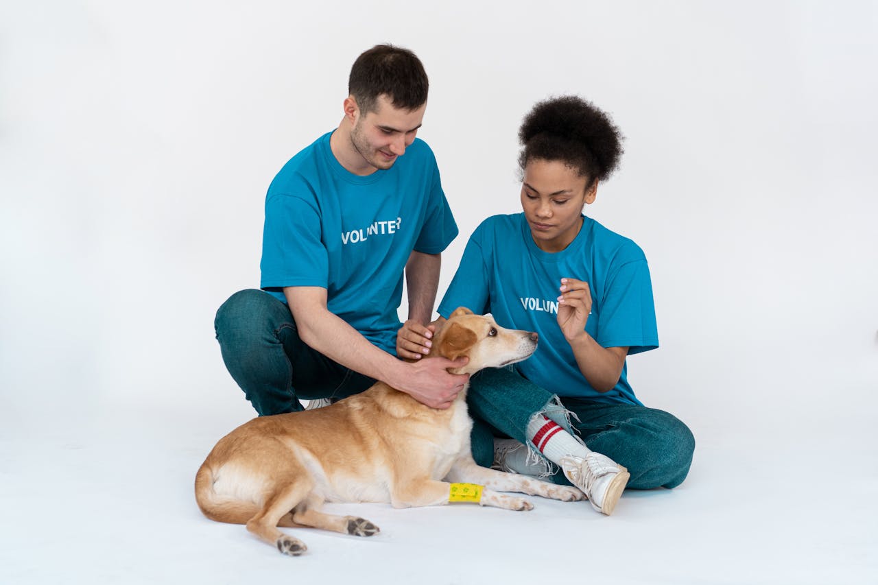 about-us Two volunteers interacting lovingly with a dog in a studio setting.